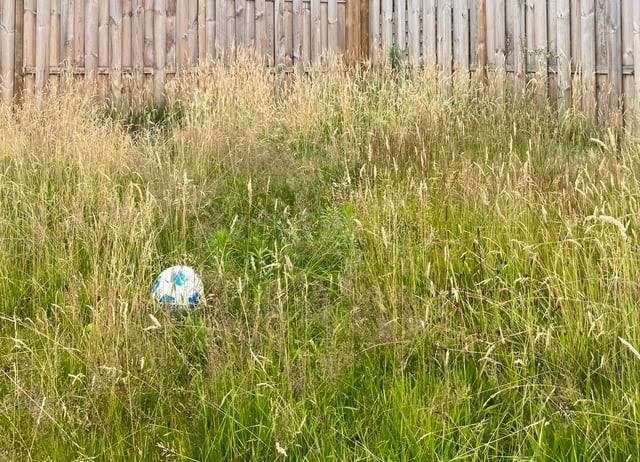 Overgrown residential lawn awaiting assessment
