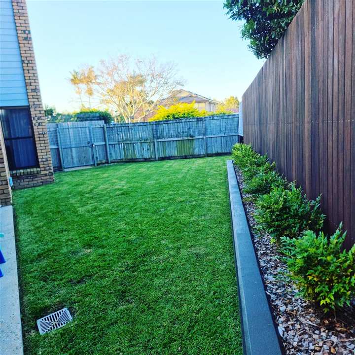 Dense green residential turf